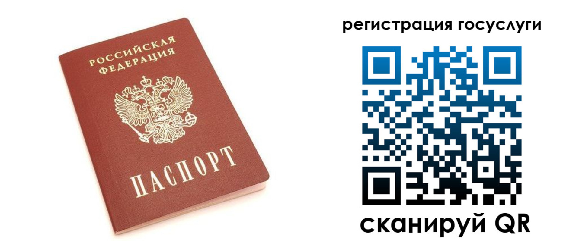 прописка 2025 в Венёве
